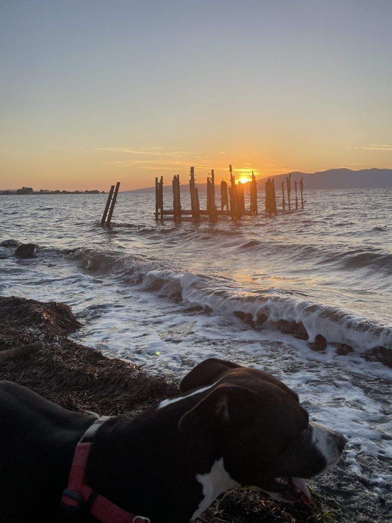 8 days Yoga Holiday in Lesvos, the island of the poets