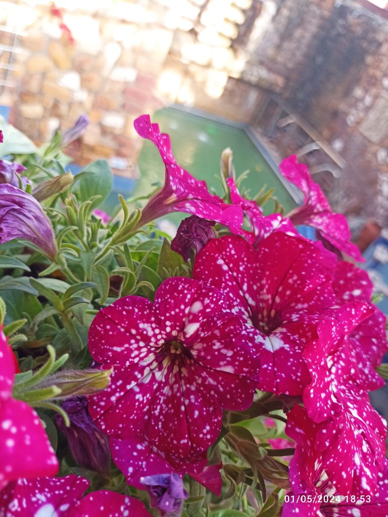 Winter Warmer Retreat – Spa, Yoga & Thai Massage