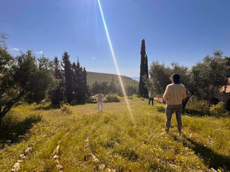 Person standing enjoying the view at Ariadnes Garden