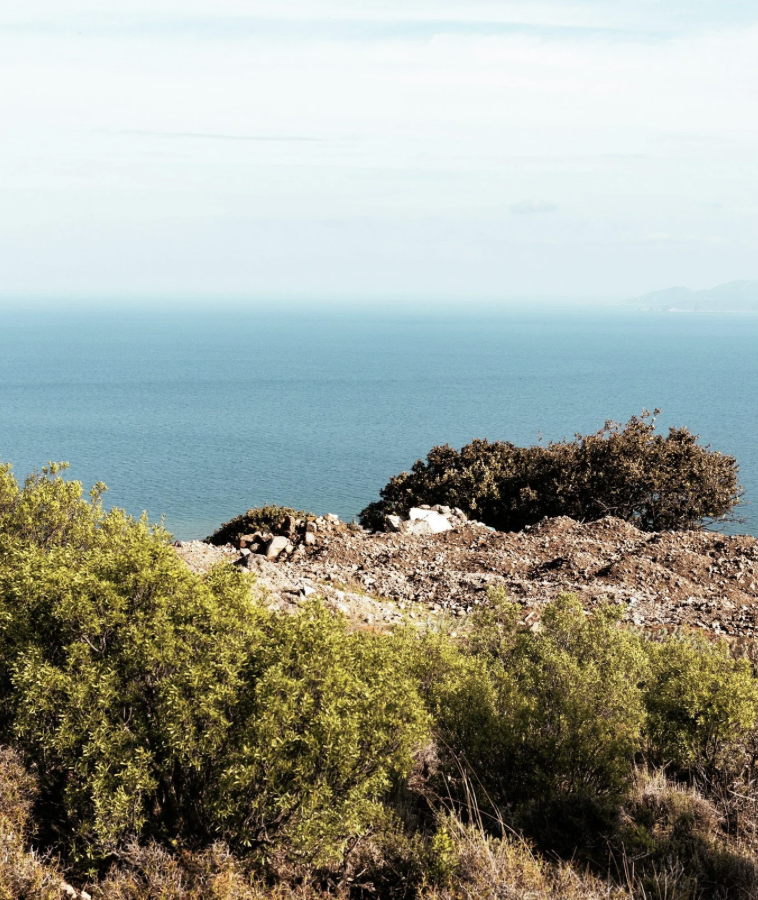 Oracle: A return to inner knowing